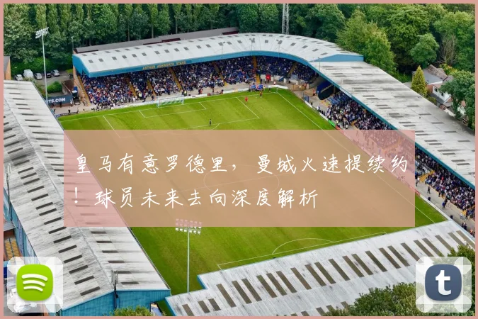 皇马有意罗德里，曼城火速提续约！球员未来去向深度解析